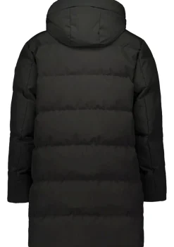 Jassen><noscript><img width=