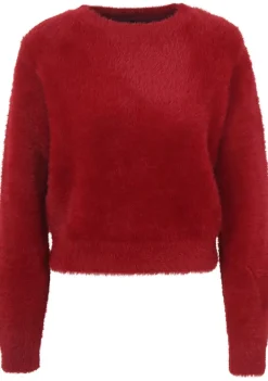 Truien>ALIX THE LABEL TRUI