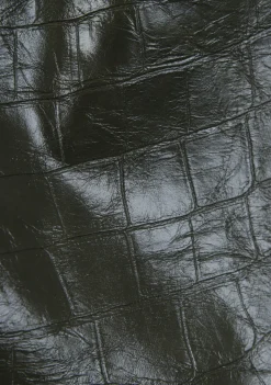 Rokken><noscript><img width=