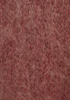 Truien><noscript><img width=