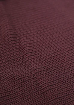 Truien><noscript><img width=