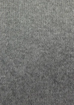 Truien><noscript><img width=