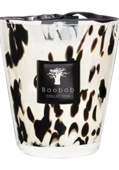 Accessoires>BAOBAB ACCESSOIRE