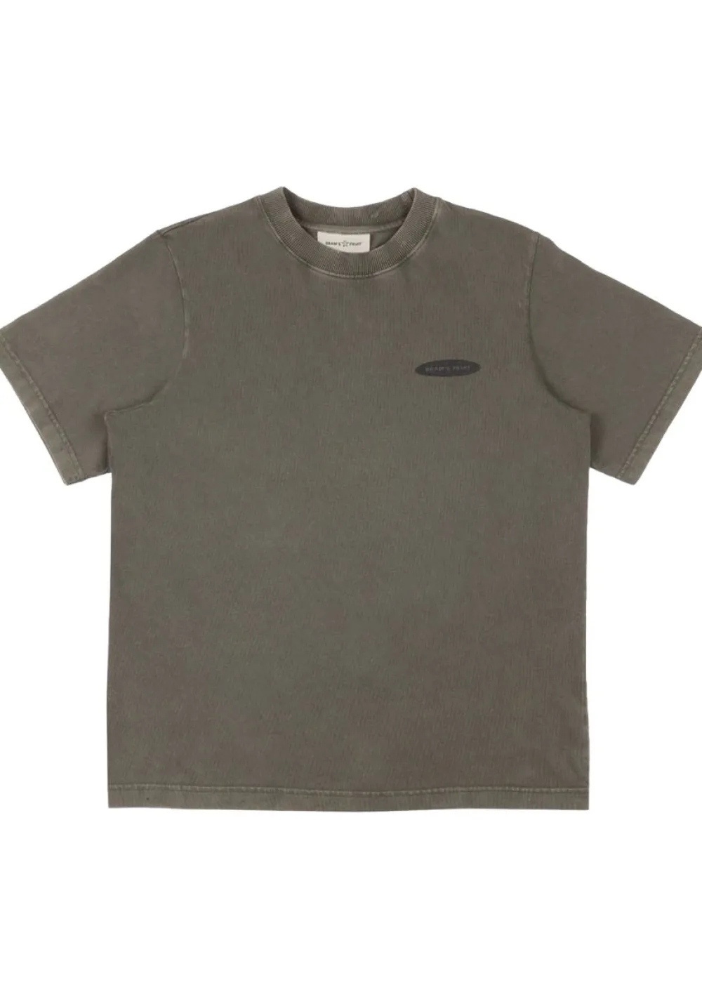 T-Shirts>BRAMS FRUIT TSHIRT Groen