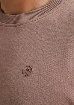 Truien><noscript><img width=