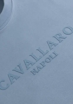 Truien><noscript><img width=