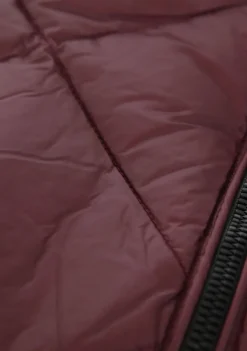 Jassen><noscript><img width=