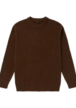 Truien>DENHAM TRUI Bruin