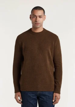 Truien>DENHAM TRUI Bruin