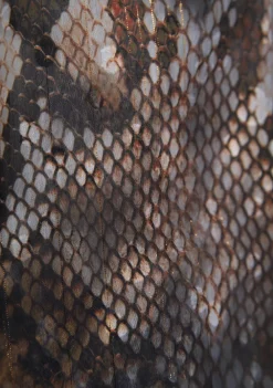 Blouses><noscript><img width=