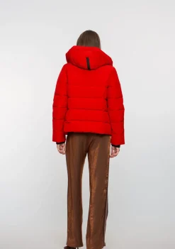 Jassen><noscript><img width=