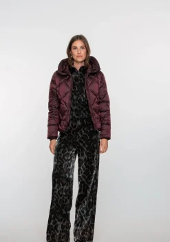 Winterjassen|Jassen><noscript><img width=