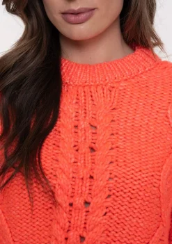 Truien><noscript><img width=