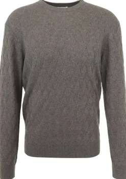 Truien>GENTILUOMO TRUI Bruin