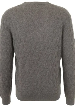 Truien>GENTILUOMO TRUI Bruin