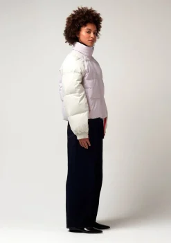 Jassen><noscript><img width=