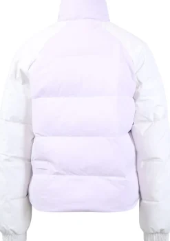 Jassen><noscript><img width=