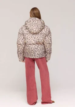 Winterjassen|Jassen><noscript><img width=