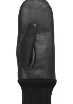 Accessoires><noscript><img width=