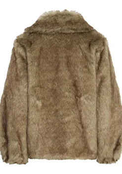 Jassen><noscript><img width=