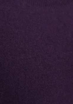 Truien><noscript><img width=