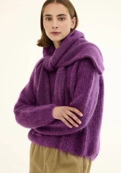 Truien><noscript><img width=