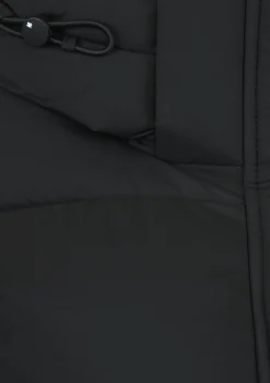 Jassen><noscript><img width=