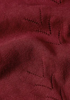 Truien><noscript><img width=