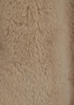 Truien><noscript><img width=