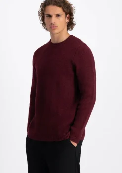 Truien><noscript><img width=