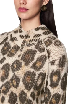 Truien><noscript><img width=