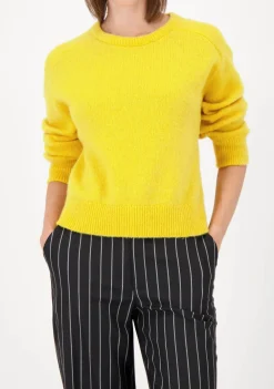 Truien><noscript><img width=