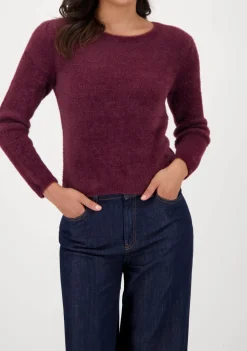 Truien><noscript><img width=