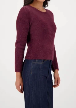 Truien><noscript><img width=