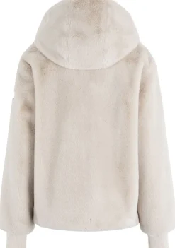 Jassen><noscript><img width=