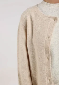 Vesten><noscript><img width=