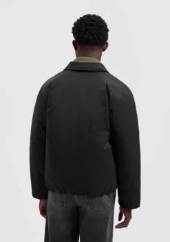 Jassen><noscript><img width=