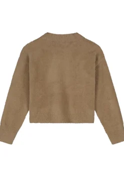 Truien><noscript><img width=