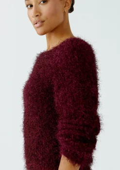 Truien><noscript><img width=