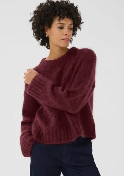 Truien><noscript><img width=