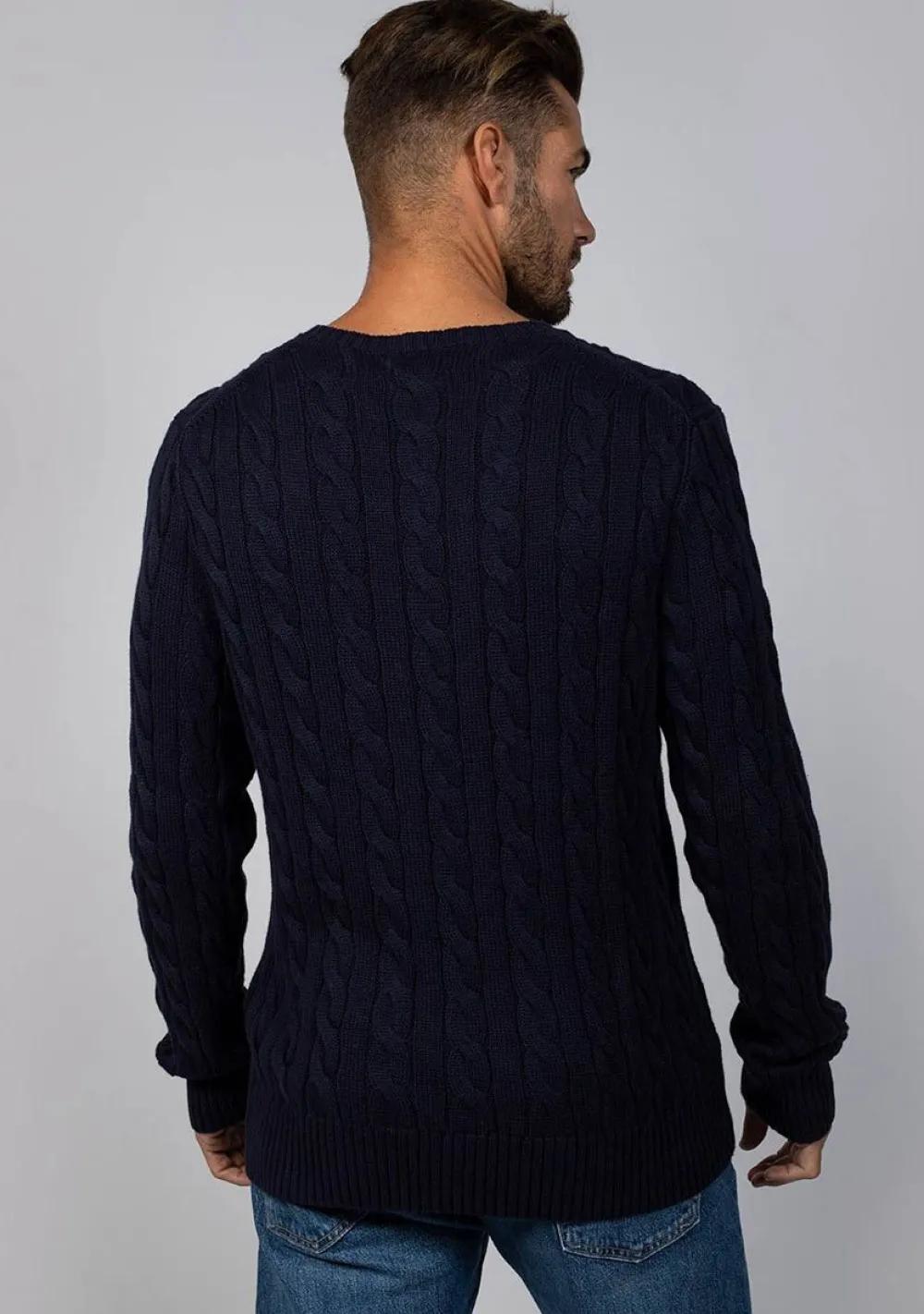 Truien>POLO RALPH LAUREN TRUI Blauw