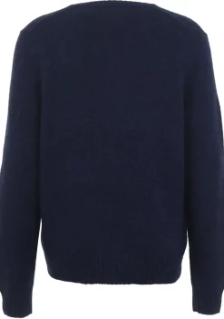 Truien>POLO RALPH LAUREN TRUI Blauw