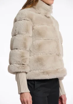 Jassen><noscript><img width=