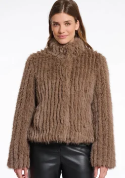 Jassen><noscript><img width=