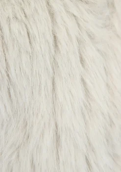 Jassen><noscript><img width=