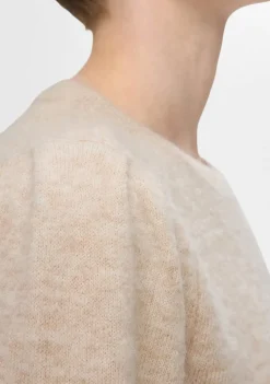 Truien><noscript><img width=