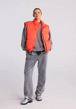 Jassen><noscript><img width=