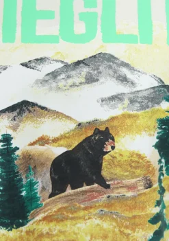 Shirts><noscript><img width=