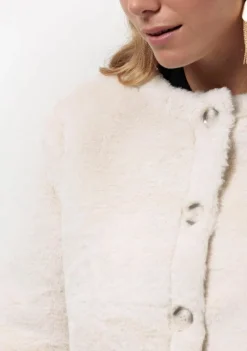 Blazers & Jasjes><noscript><img width=