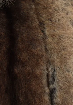 Jassen><noscript><img width=